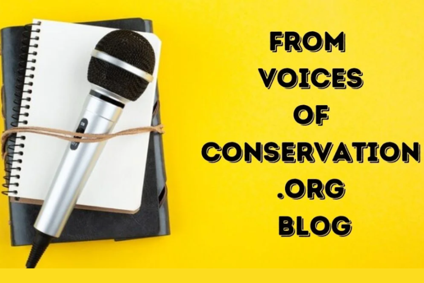 voicesofconservation.org