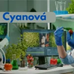 Is 'cyanová' the Right Choice for You?