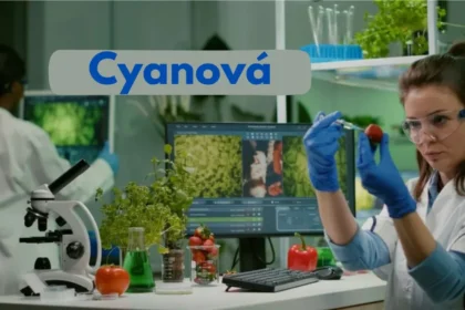 Is 'cyanová' the Right Choice for You?