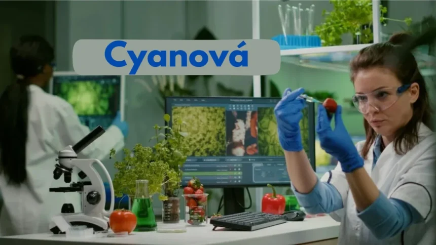 Is 'cyanová' the Right Choice for You?