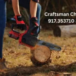 Craftsman Chainsaw 917.353710 30177: Complete Review, Maintenance, and Performance