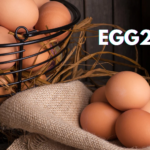 What Are the Benefits of Using egg20_25?