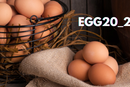 What Are the Benefits of Using egg20_25?