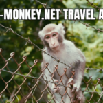 A Traveler's Guide to the Albino-Monkey.net Travel Archives