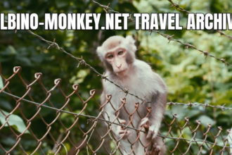 A Traveler's Guide to the Albino-Monkey.net Travel Archives