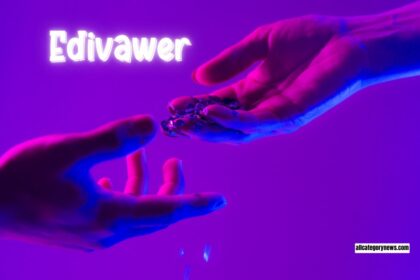 Is Edivawer the Right Choice for You?