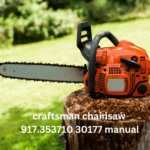 Craftsman Chainsaw 917.353710 30177 Manual: 10 Crucial Safety Guidelines to Follow