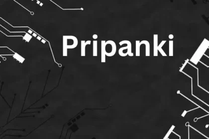 Pripanki: The Enigmatic Wonder of the Digital Age