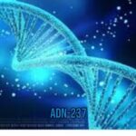 ADN-237: The Future of Advanced Materials and Their Applications