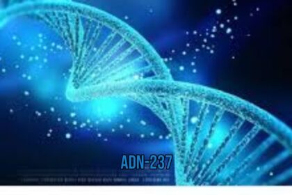 ADN-237: The Future of Advanced Materials and Their Applications